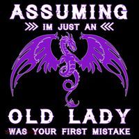 Assuming I'm Just An Old Lady Was Your First Mistake Hoodie