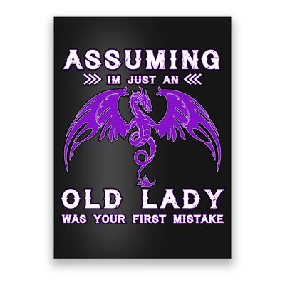 Assuming I'm Just An Old Lady Was Your First Mistake Poster