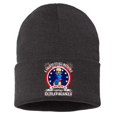 A Salute To All Nations But Mostly America Sustainable Knit Beanie