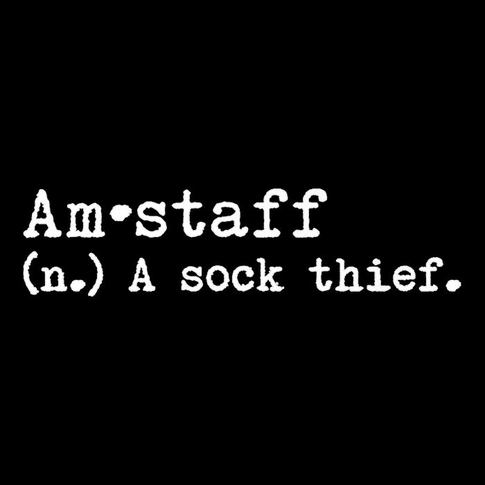 A Sock Thief American Staffordshire Terrier Dog Bucket Hat