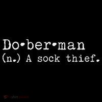 A Sock Thief Doberman Dog funny pet lovers Tall T-Shirt