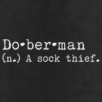 A Sock Thief Doberman Dog funny pet lovers Adult Drive Performance Visor