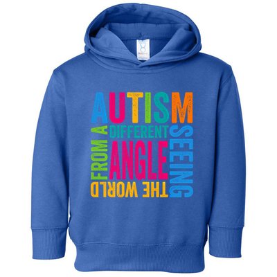 Autism Seeing The World From A Different Angle Autism Gift Toddler Hoodie