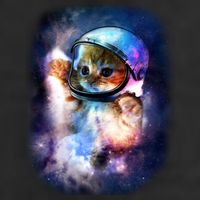Astronaut Cat In Space Garment-Dyed Fleece Hoodie