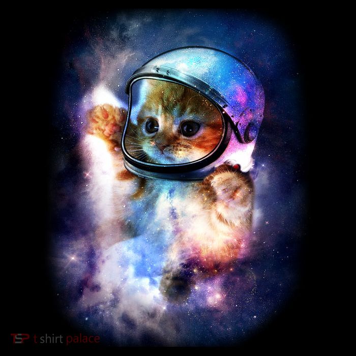 Astronaut Cat In Space Performance Shirt