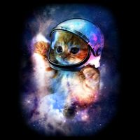 Astronaut Cat In Space Apron