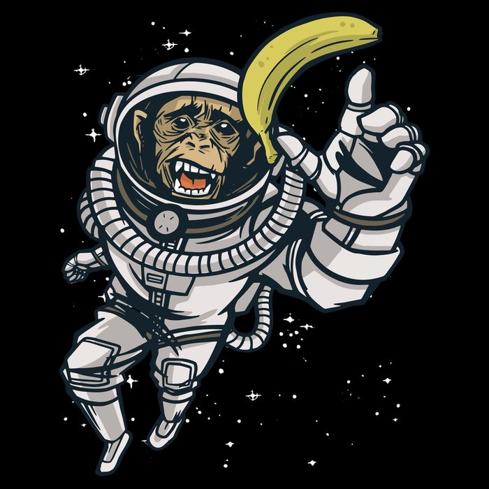 Astronaut Chimp Banana Drawstring Bag