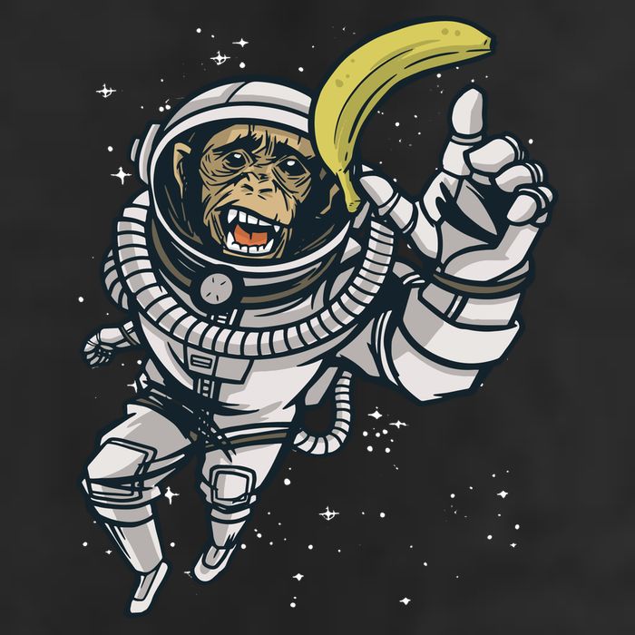 Astronaut Chimp Banana Trucker Hat