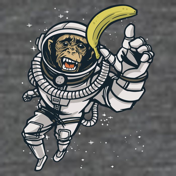 Astronaut Chimp Banana Kids T-Shirt
