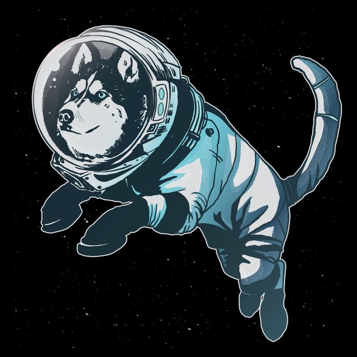 Astronaut Husky Dog Space Flat Bill Trucker Hat