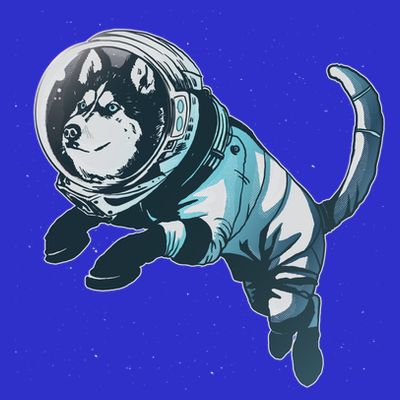 Astronaut Husky Dog Space T-Shirt
