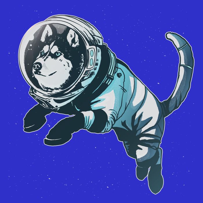 Astronaut Husky Dog Space Zip Tote Bag