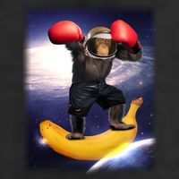 Astronaut Monkey Boxing In Space Trucker Hat