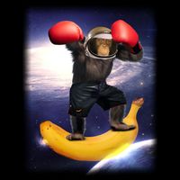 Astronaut Monkey Boxing In Space Wool Snapback Cap