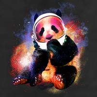 Astronaut Panda Galaxy Splatter 7 Panel Mesh Trucker Snapback Hat