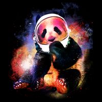 Astronaut Panda Galaxy Splatter 7-Panel Snapback Hat