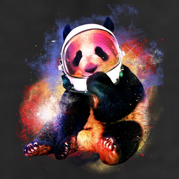 Astronaut Panda Galaxy Splatter 15oz Campfire Ceramic Mug