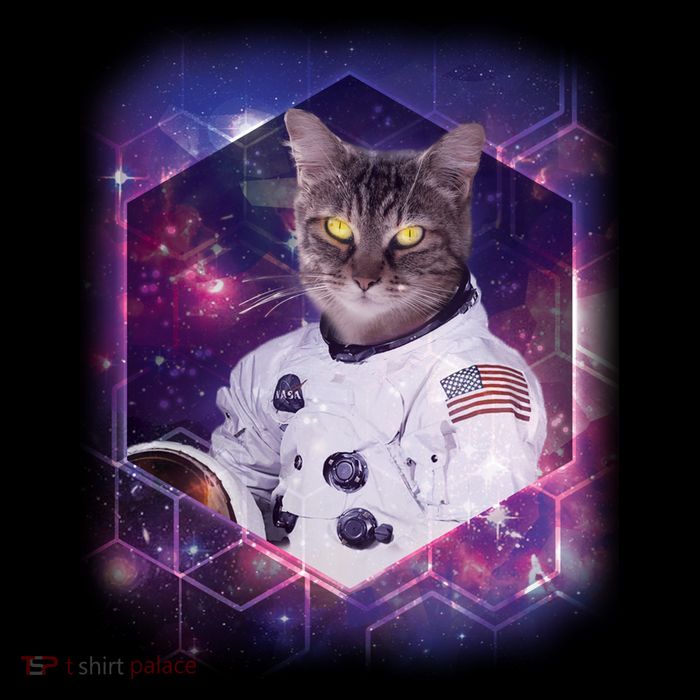 Astronaut Space Cat1 Button