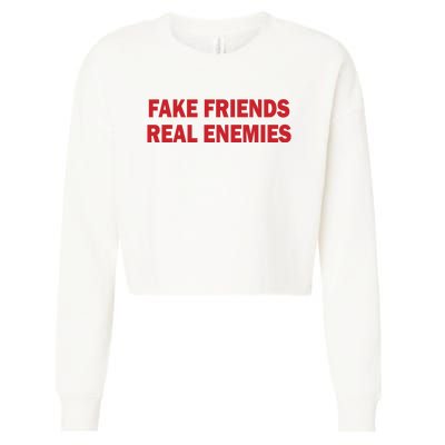 Amanda Serrano Wearing Fake Friends Real Enemies Cropped Pullover Crew