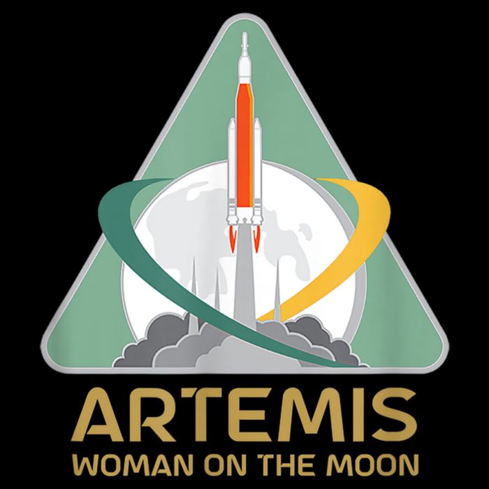 Artemis Space Woman On The Moon Cropped Pullover Crew