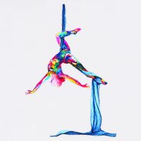 Aerial Silk Yoga Premium T-Shirt