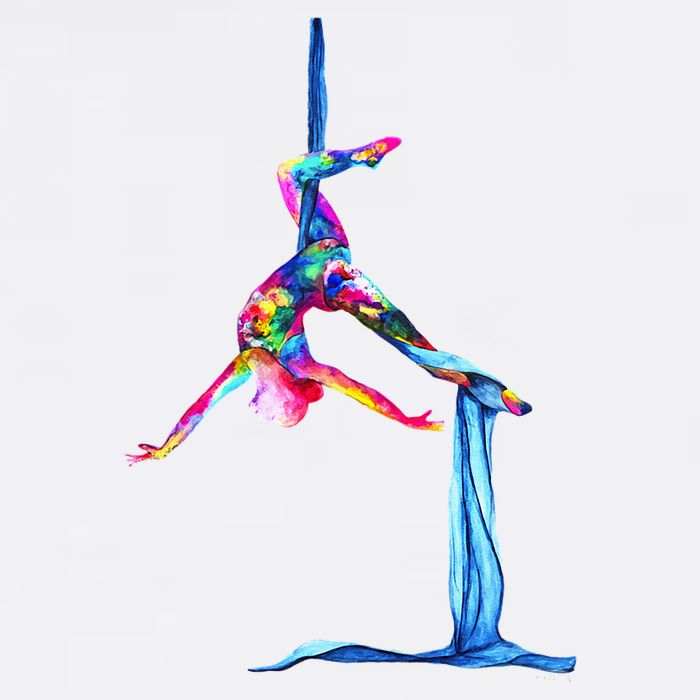 Aerial Silk Yoga Premium T-Shirt