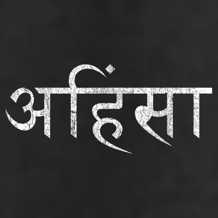 Ahimsa Sanskrit Yoga Nonviolence Adult Drive Performance Visor
