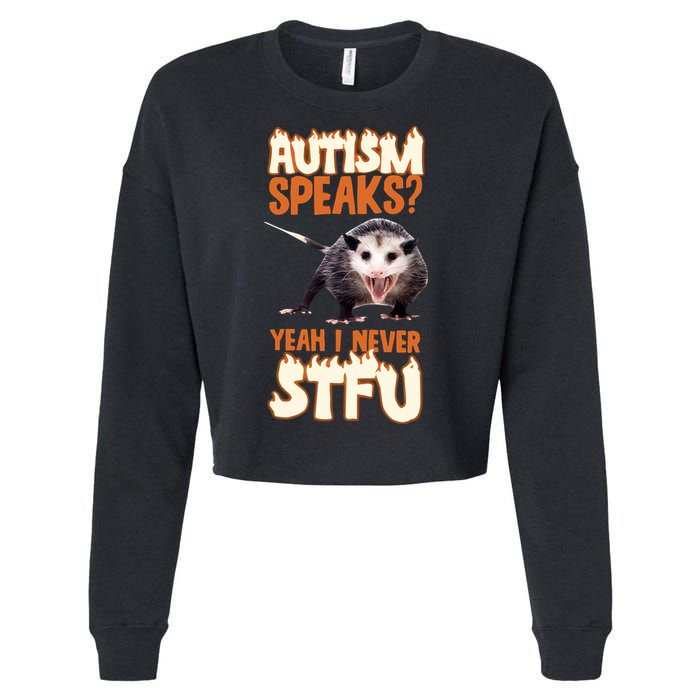 Autism Speaks Yeah I Never Stfu Cropped Pullover Crew