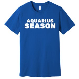 Aquarius Season Zodiac Sign Astrology Great Gift Premium T-Shirt