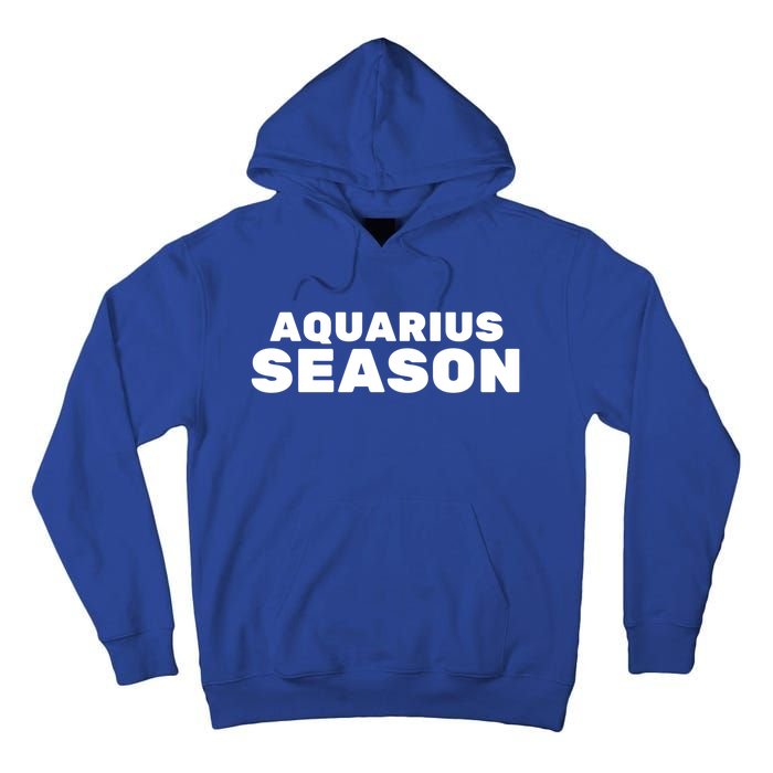 Aquarius Season Zodiac Sign Astrology Great Gift Tall Hoodie