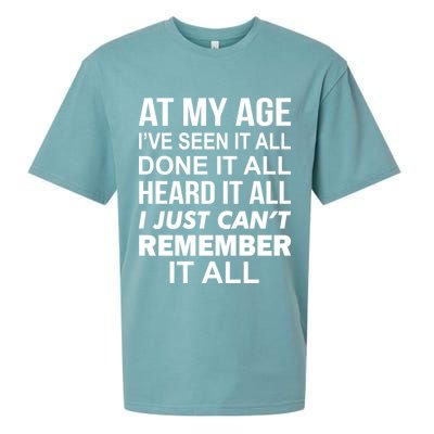 At My Age I Seen Done Heard Can't Remember It All Sueded Cloud Jersey T-Shirt