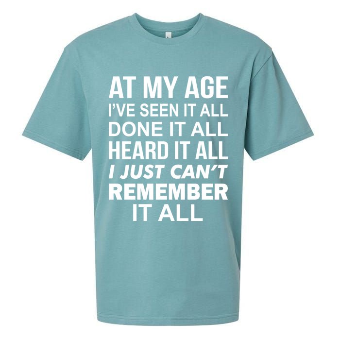 At My Age I Seen Done Heard Can't Remember It All Sueded Cloud Jersey T-Shirt