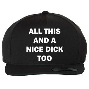 All This And A Nice Dick Too Offensive Adult Humor Wool Snapback Cap