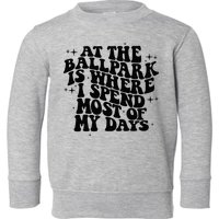 At The Ballpark Is Where I Spend Most Of My Days Baseball Toddler Sweatshirt