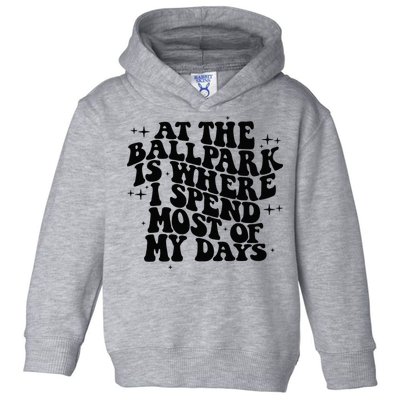 At The Ballpark Is Where I Spend Most Of My Days Baseball Toddler Hoodie
