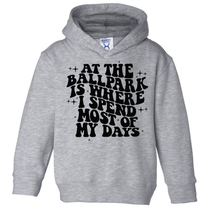 At The Ballpark Is Where I Spend Most Of My Days Baseball Toddler Hoodie