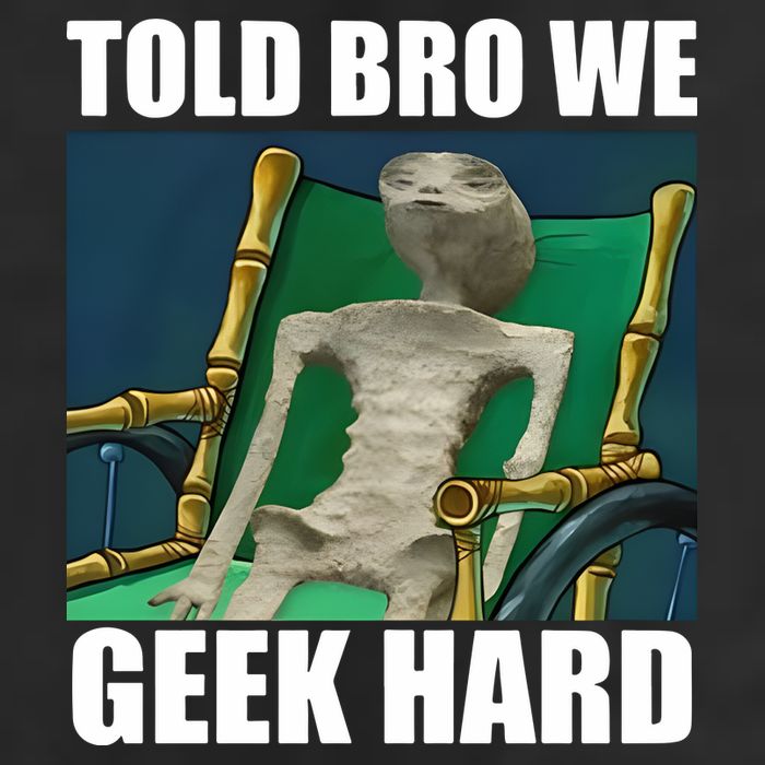 Alien Told Bro We Geek Hard Cool Comfort Performance Bucket Hat