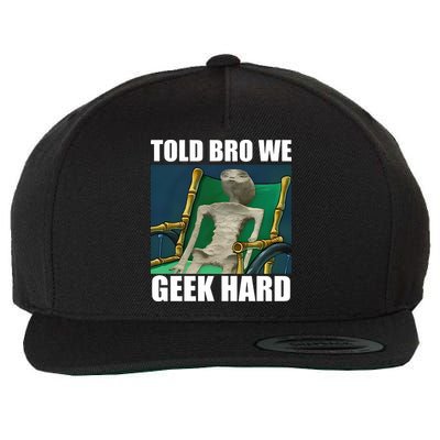 Alien Told Bro We Geek Hard Wool Snapback Cap