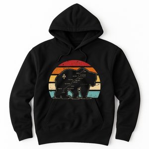 Appalachian Trail Bear Symbol Of Appalachian National Park Hoodie