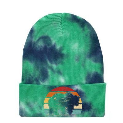 Appalachian Trail Bear Symbol Of Appalachian National Park Tie Dye 12in Knit Beanie