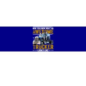 Awesome Trucker Big Rig Semicute Gifttrailer Truck Driver Gift Gift Bumper Sticker