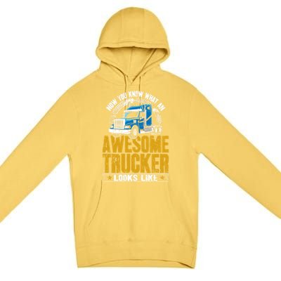 Awesome Trucker Big Rig Semigifttrailer Truck Driver Gift Premium Pullover Hoodie