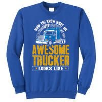 Awesome Trucker Big Rig Semigifttrailer Truck Driver Gift Sweatshirt