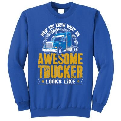 Awesome Trucker Big Rig Semigifttrailer Truck Driver Gift Tall Sweatshirt