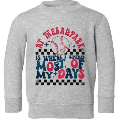 At The Ballpark Is Where I Spend Most Of My Days Toddler Sweatshirt