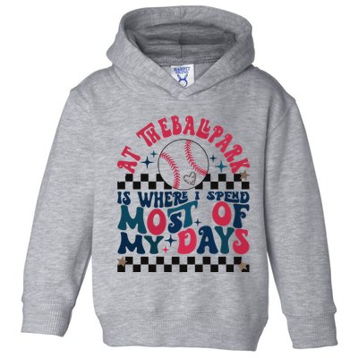 At The Ballpark Is Where I Spend Most Of My Days Toddler Hoodie
