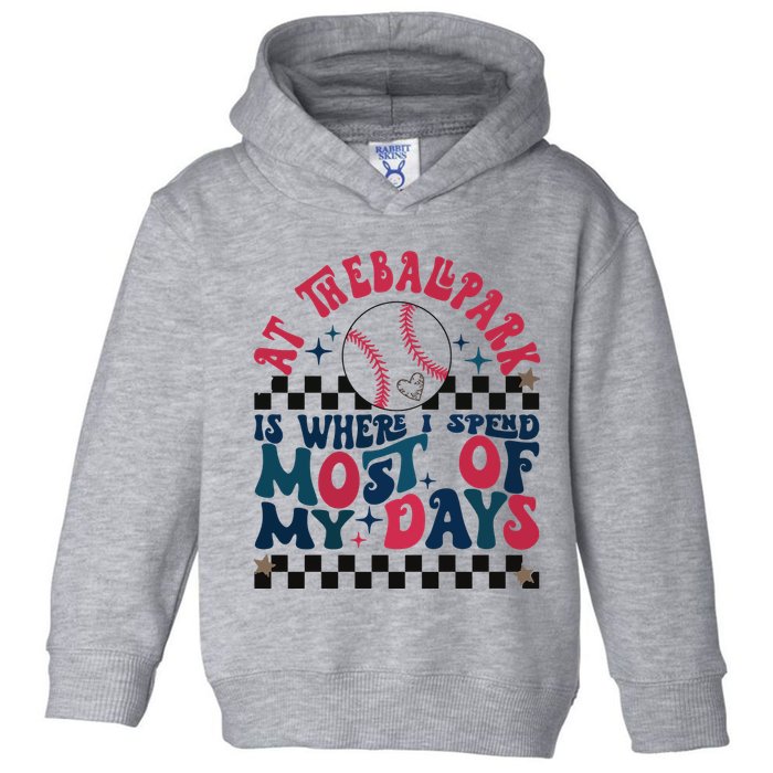At The Ballpark Is Where I Spend Most Of My Days Toddler Hoodie