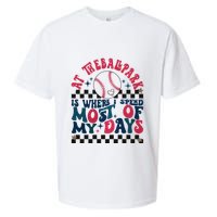 At The Ballpark Is Where I Spend Most Of My Days Sueded Cloud Jersey T-Shirt