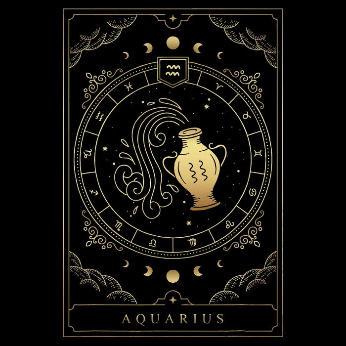 Aquarius Tarot Card Zodiac 16 in Basic Backpack