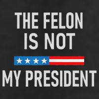 Anti Trump Felon Not My President 7 Panel Mesh Trucker Snapback Hat